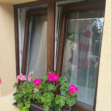 Kerti Franciaagyas Apartman 瓦茨 外观 照片