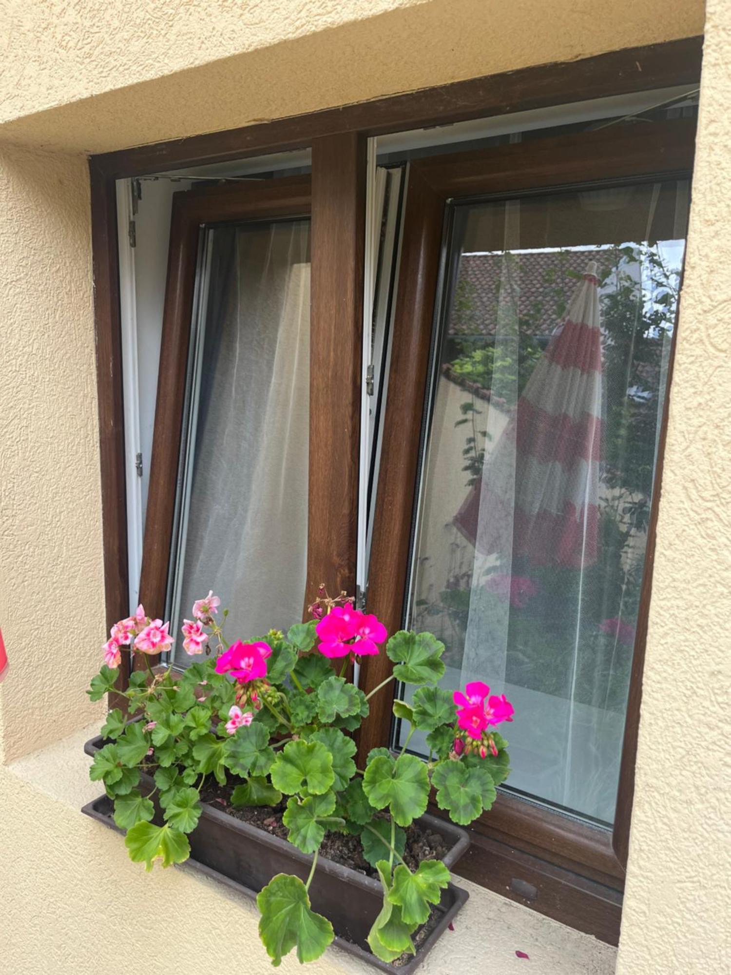Kerti Franciaagyas Apartman 瓦茨 外观 照片